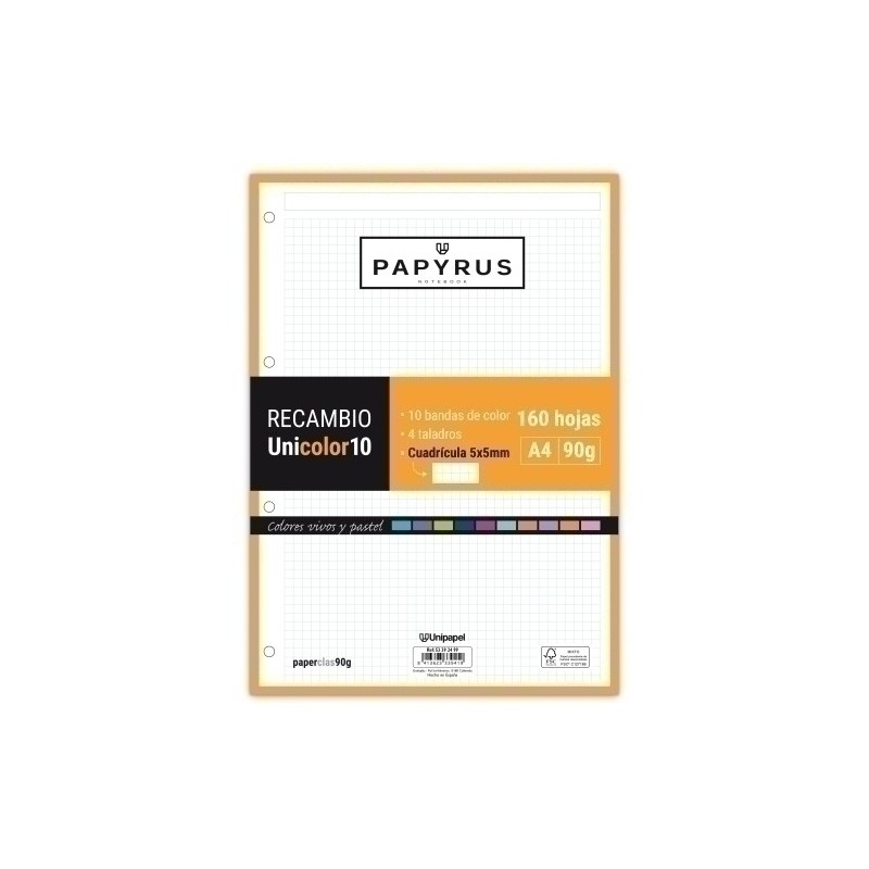 53392499-RECAMBIO PAPYRUS A4 160h 4 TAL.CD.5 precio por 15 unidades