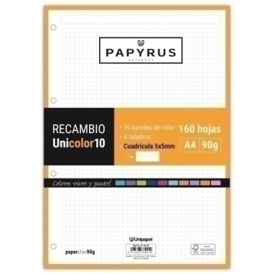 53392499-RECAMBIO PAPYRUS A4 160h 4 TAL.CD.5 precio por 15 unidades