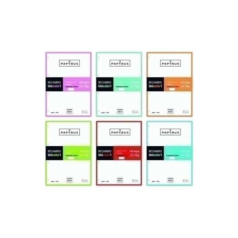 53392699-RECAMBIO PAPYRUS A4 100h 4 TAL.CD.5 SUR precio por 24 unidades
