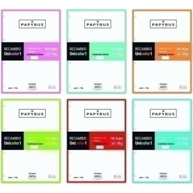 53392699-RECAMBIO PAPYRUS A4 100h 4 TAL.CD.5 SUR precio por 24 unidades