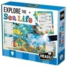 IT22311-JUEGO EDUCATIVO...