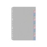 5784204-SEPARADORES MULTIFIN PVC D842 2  Fº 12 p precio por 1 unidades