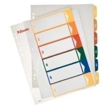 100212-INDICE ESSELTE PP...