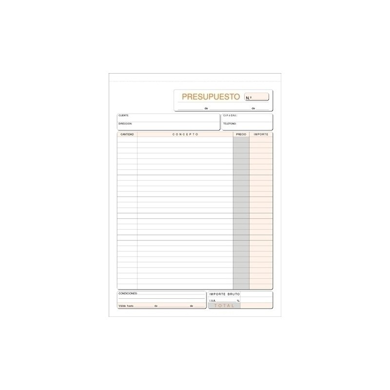T-20-TALONARIO SALARIOS HDSA LOAN precio por 10 unidades