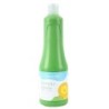 173673-TEMPERA PAJARITA LIQ.500 ml VERDE TL-07 precio por 1 unidades