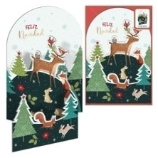 70235-CHRISTMAS DOHE...