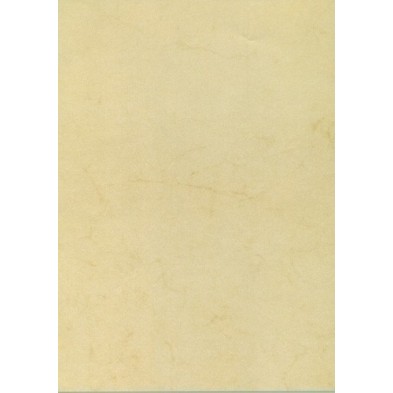 11960-PAPEL HABANA A4 APLI 200g 10h precio por 1 unidades