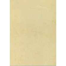 11963-PAPEL HABANA A4 APLI...
