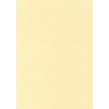PCL1601/11958-PAPEL...
