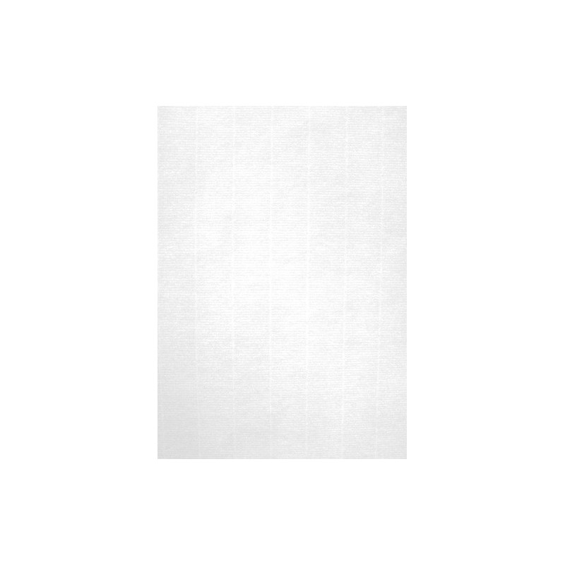 12130-PAPEL VERJUR.A4 APLI 220g 20h BLANCO precio por 1 unidades