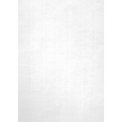 12130-PAPEL VERJUR.A4 APLI 220g 20h BLANCO precio por 1 unidades