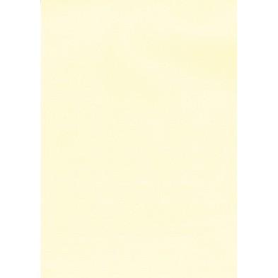 12235-PAPEL VERJUR.A4 APLI 200g 20h CREMA precio por 1 unidades
