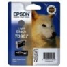 T096740-CART.IJ.EPSON T096740 PHOTO R2880 GRIS precio por 1 unidades