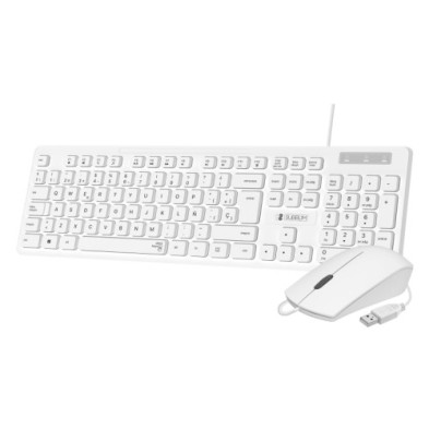 SUBKBC-CSSK02-TECLADO Y RATON SUBBLIM BUSINESS USB B precio por 1 unidades