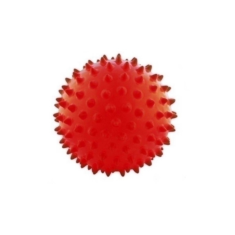 24172.003.650-PELOTA MASAJE 65 cm precio por 1 unidades