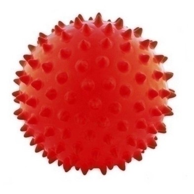 24172.003.650-PELOTA MASAJE 65 cm precio por 1 unidades