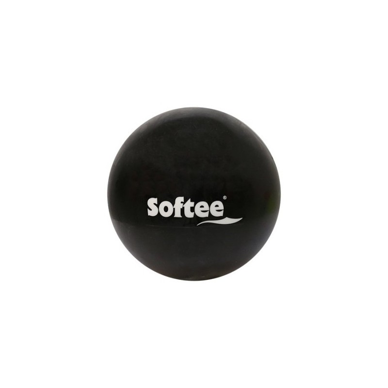 24221.001.2-PELOTA DE GIMNASIA RITMICA INFANTIL precio por 1 unidades