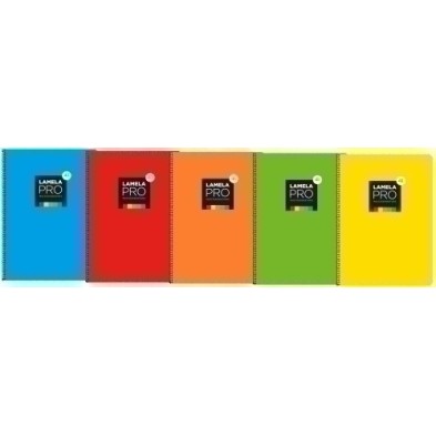 7FTE104S-LAMELA BLOC t.DURA Fº 100h CDV. 4 SURTID precio por 5 unidades