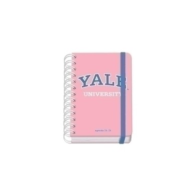51688-24-AG.ESC.DOHE PREMIUM t.EXTRA A6 D/P YALE precio por 1 unidades