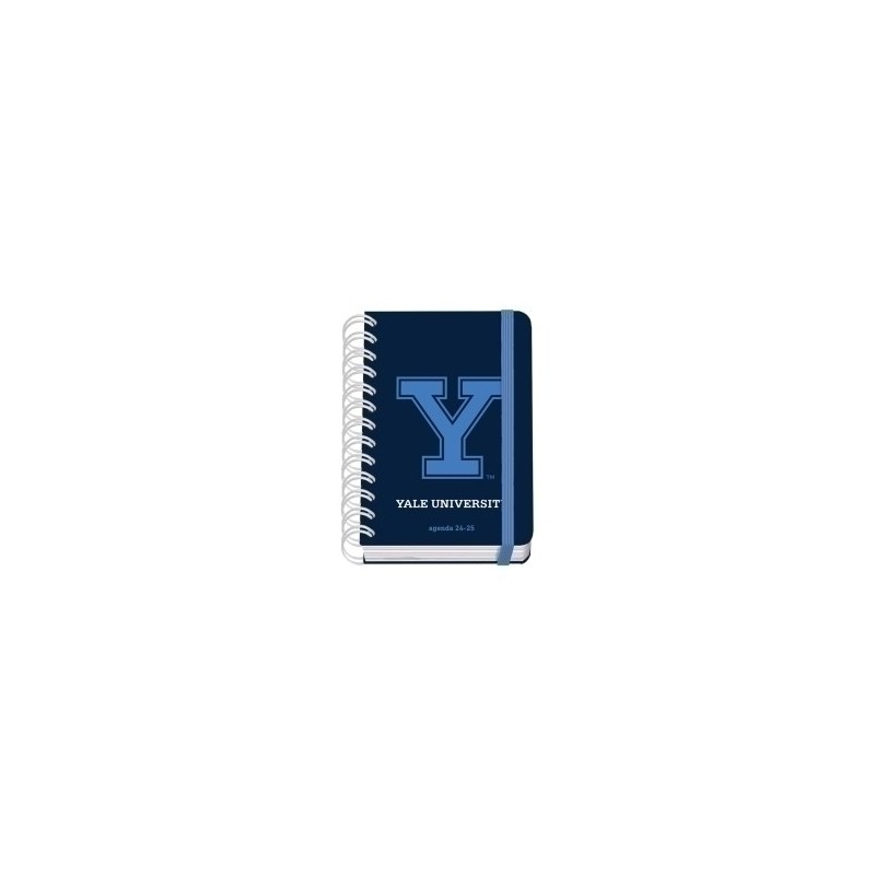 51703-24-AG.ESC.DOHE PREMIUM t.EXTRA A6 D/P YALE precio por 1 unidades