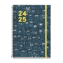 MR26675-AG.ESC.MR. TEEN...