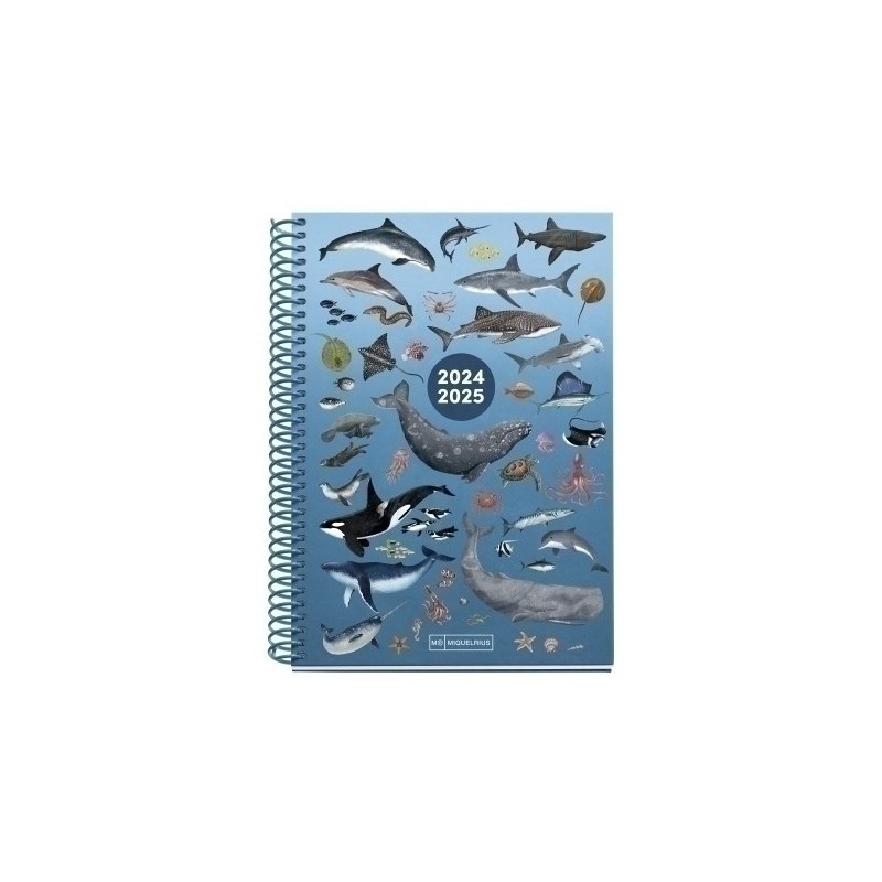 MR26691-AG.ESC.MR. JUNIOR t.EXTRA S/V OCEAN precio por 1 unidades
