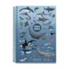 MR26691-AG.ESC.MR. JUNIOR t.EXTRA S/V OCEAN precio por 1 unidades