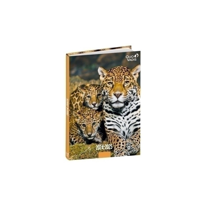 1282387Q-24-AG.ESC.QUO VADIS 12x17  AMIGOS JAGUAR precio por 1 unidades