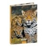 1282387Q-24-AG.ESC.QUO VADIS 12x17  AMIGOS JAGUAR precio por 1 unidades