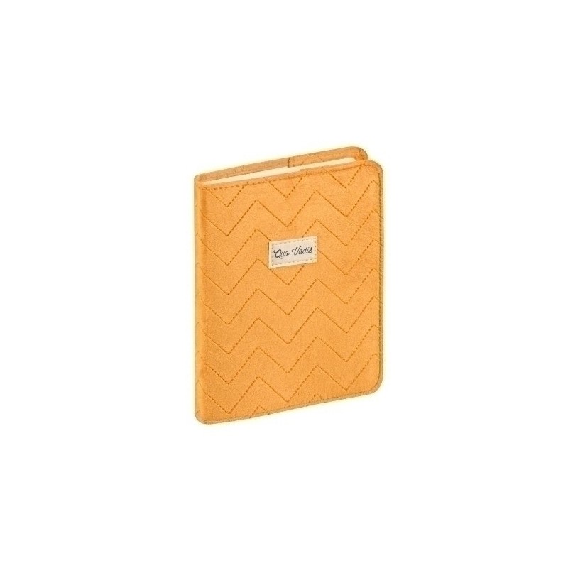 1282370Q-24-AG.ESC.QUO VADIS 12x17  COLETTE AMARILL precio por 1 unidades