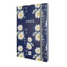 626900425-AG.F. 16M DOTTED...