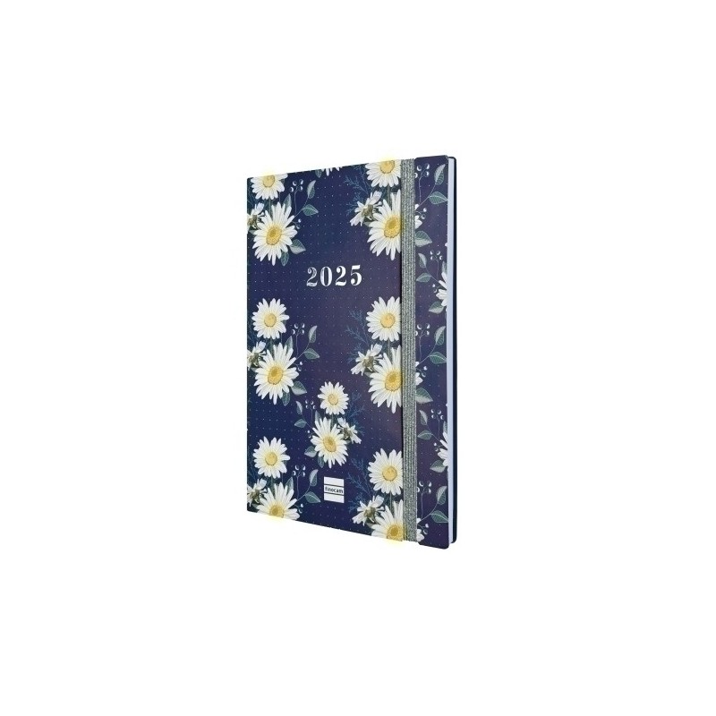 626900425-AG.F. 16M DOTTED S/V APAIS. Y10 MARGA precio por 1 unidades