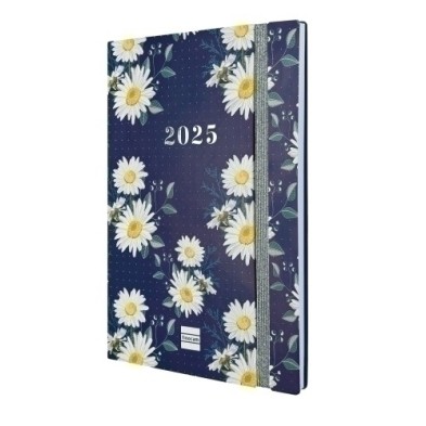 626900425-AG.F. 16M DOTTED S/V APAIS. Y10 MARGA precio por 1 unidades