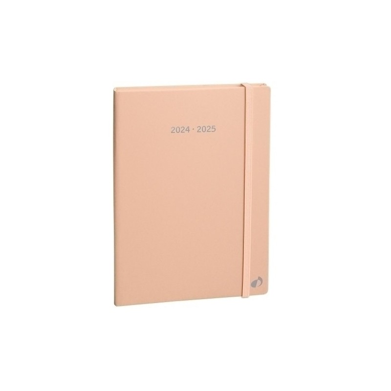161024Q-24-AG.QUO VADIS 16M S/V PLAN WEEK 24 PASTEL precio por 1 unidades