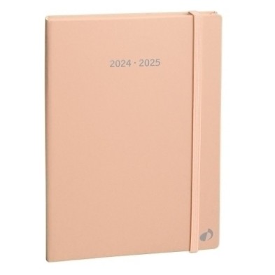 161024Q-24-AG.QUO VADIS 16M S/V PLAN WEEK 24 PASTEL precio por 1 unidades