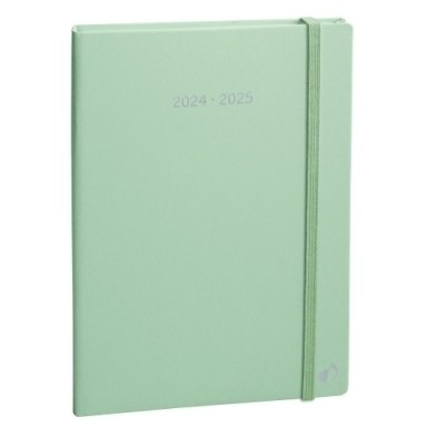 155004Q-24-AG.QUO VADIS 16M S/V PLAN NOTE 21 PASTEL precio por 1 unidades