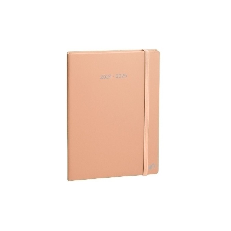 155030Q-24-AG.QUO VADIS 16M S/V PLAN NOTE 21 PASTEL precio por 1 unidades