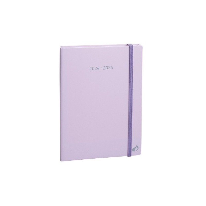 155037Q-24-AG.QUO VADIS 16M S/V PLAN NOTE 21 PASTEL precio por 1 unidades