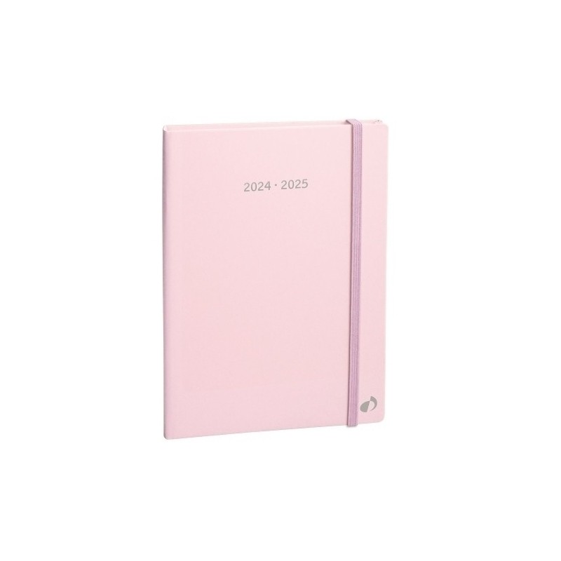 127003Q-24-AG.QUO VADIS 16M S/V PLAN MONTH PASTEL R precio por 1 unidades