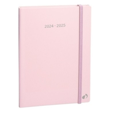 127003Q-24-AG.QUO VADIS 16M S/V PLAN MONTH PASTEL R precio por 1 unidades