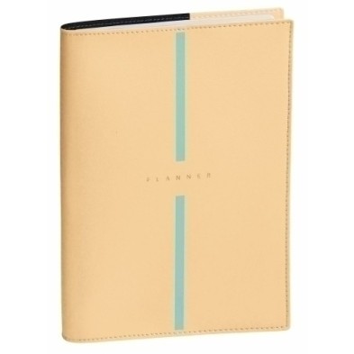 155027Q-24-AG.QUO VADIS 16M S/V PLAN NOTE 21 BILLY precio por 1 unidades