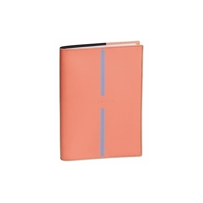 155038Q-24-AG.QUO VADIS 16M S/V PLAN NOTE 21 BILLY precio por 1 unidades