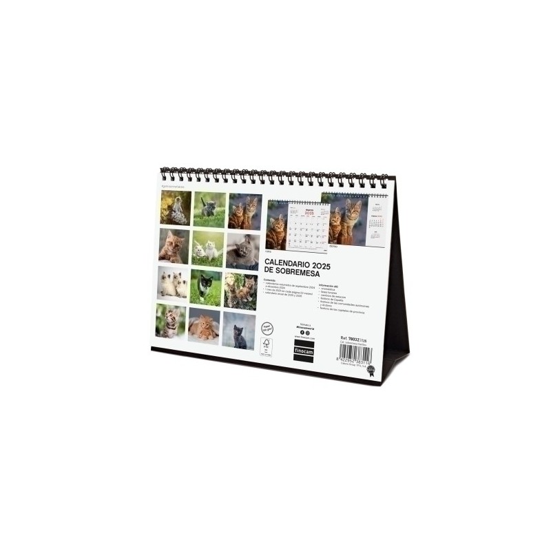 780323825-CAL.FIN. SOBR. 210x150 GATITOS precio por 1 unidades