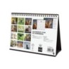 780323825-CAL.FIN. SOBR. 210x150 GATITOS precio por 1 unidades