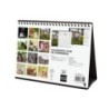 780323925-CAL.FIN. SOBR. 210x150 PERROS Y GATOS precio por 1 unidades
