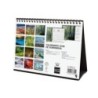 780324825-CAL.FIN. SOBR. 210x150 NATURALEZA precio por 1 unidades