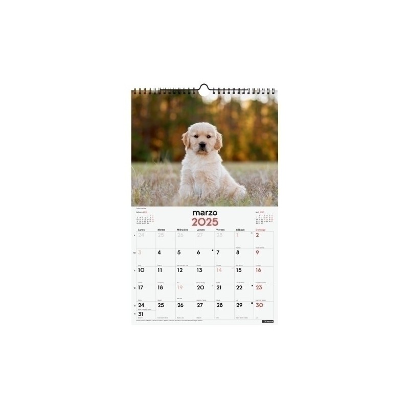780553725-CAL.FIN. PARED 250x400 CACHORROS precio por 1 unidades