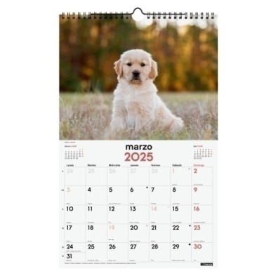 780553725-CAL.FIN. PARED 250x400 CACHORROS precio por 1 unidades
