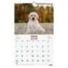 780553725-CAL.FIN. PARED 250x400 CACHORROS precio por 1 unidades