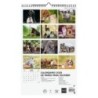 780553925-CAL.FIN. PARED 250x400 PERROS Y GATOS precio por 1 unidades